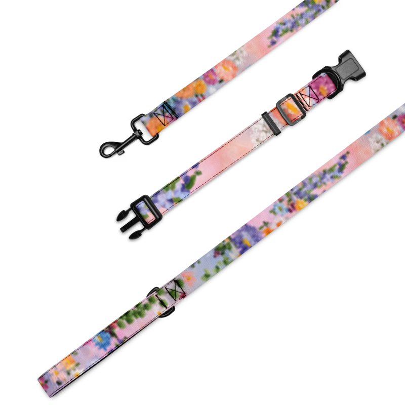 Pet collar & leash