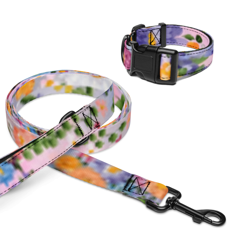 Pet collar & leash